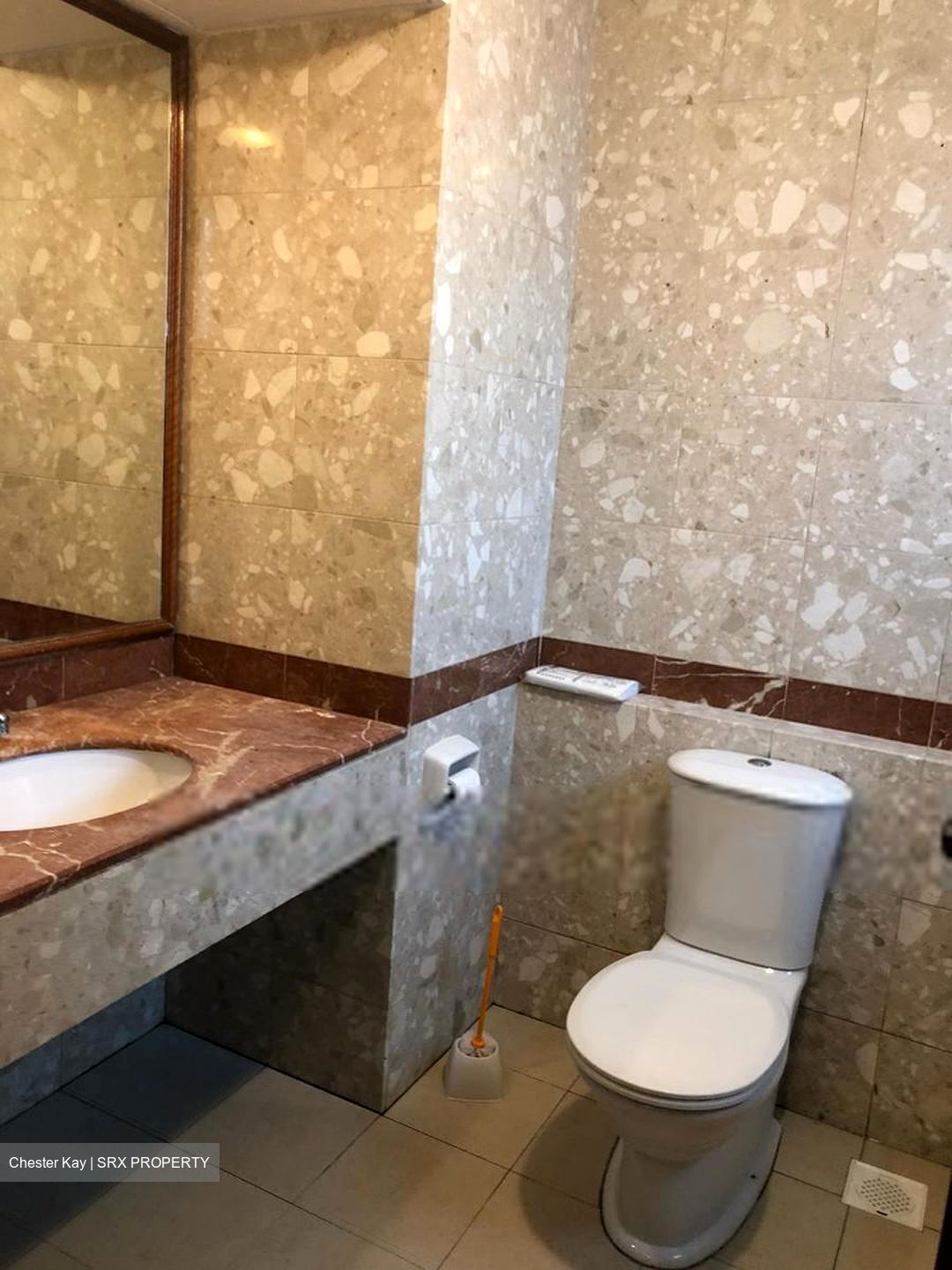 Estella Gardens (D17), Condominium #598292031